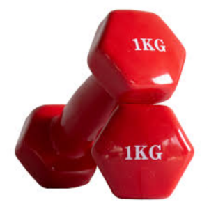 1KG vinyl-coated dumbbell with hexagonal anti-roll ends