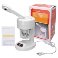 Mini facial steamer IONIC