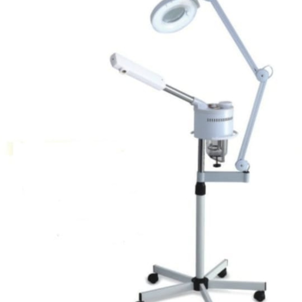 13G 2 IN 1 facial steamer 